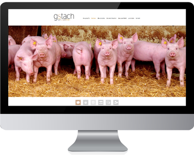 Gstach - Webauftritt